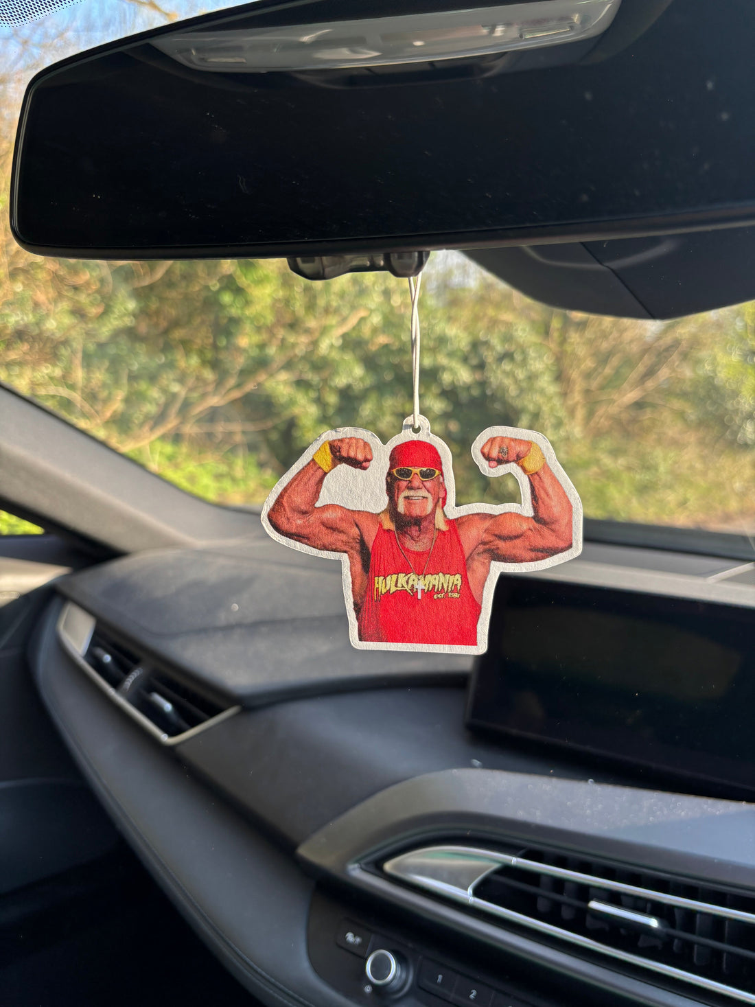 The Ultimate WWE Car Air Fresheners for True Wrestling Fans