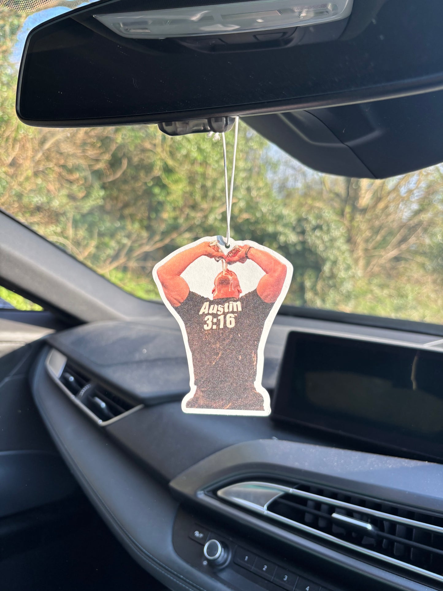 Steve Austin air freshener