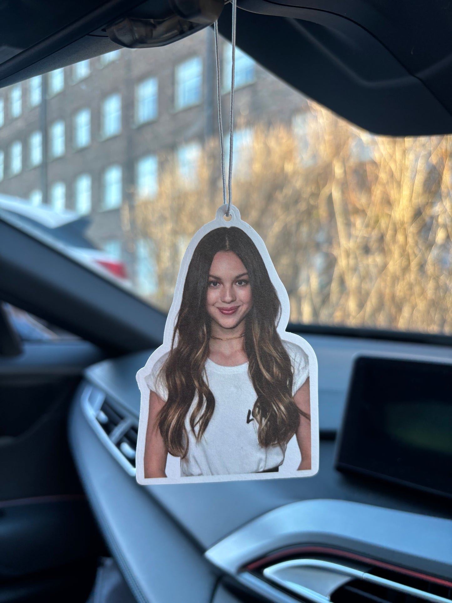 Olivia Rodrigo Air Freshener