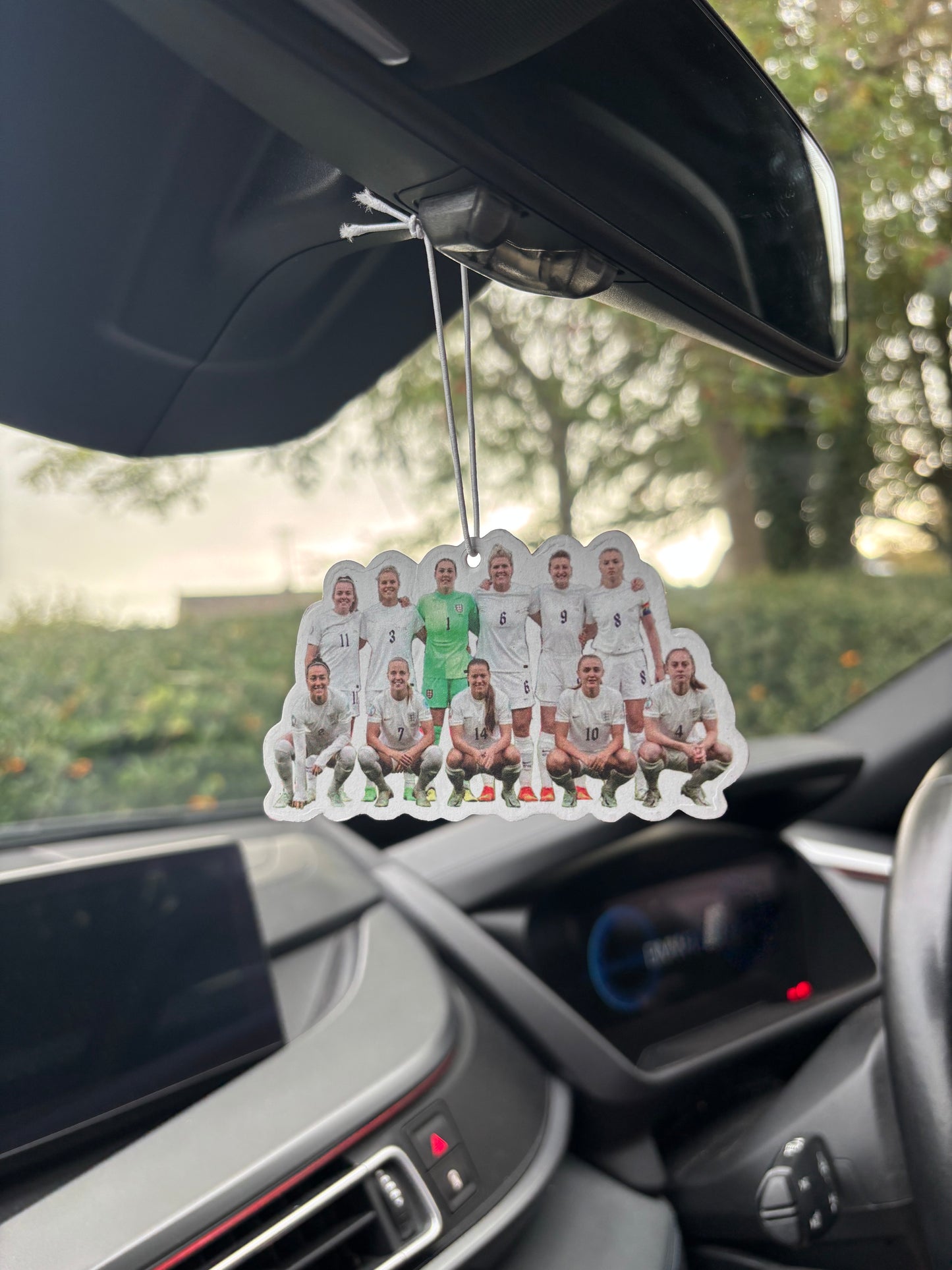 Lionesses air freshener